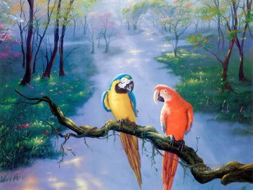  vogel - Papagei im Wald beauful Vögel